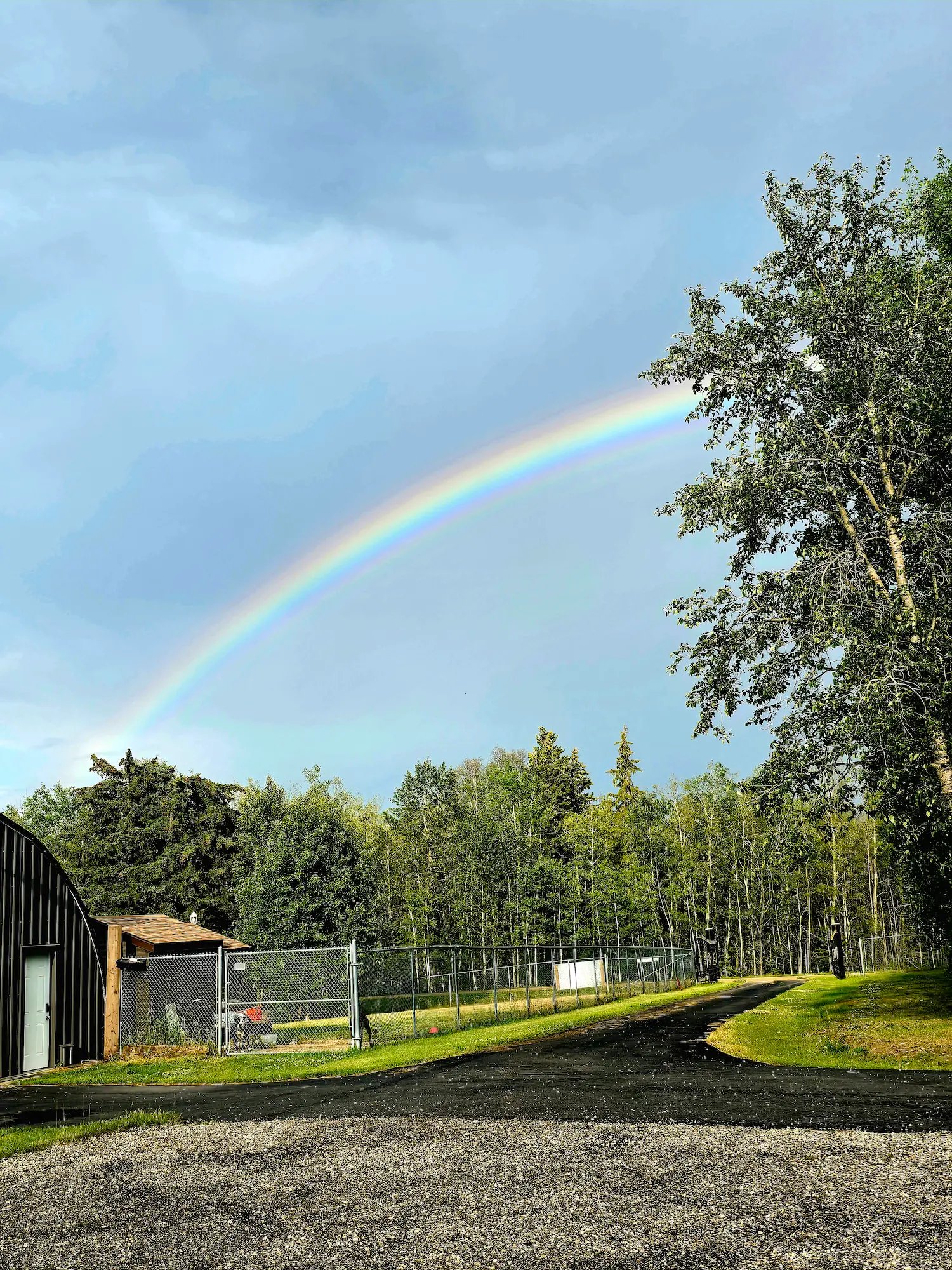 Rainbow arching over fenced area with trees and gravel pathway under a cloudy sky.