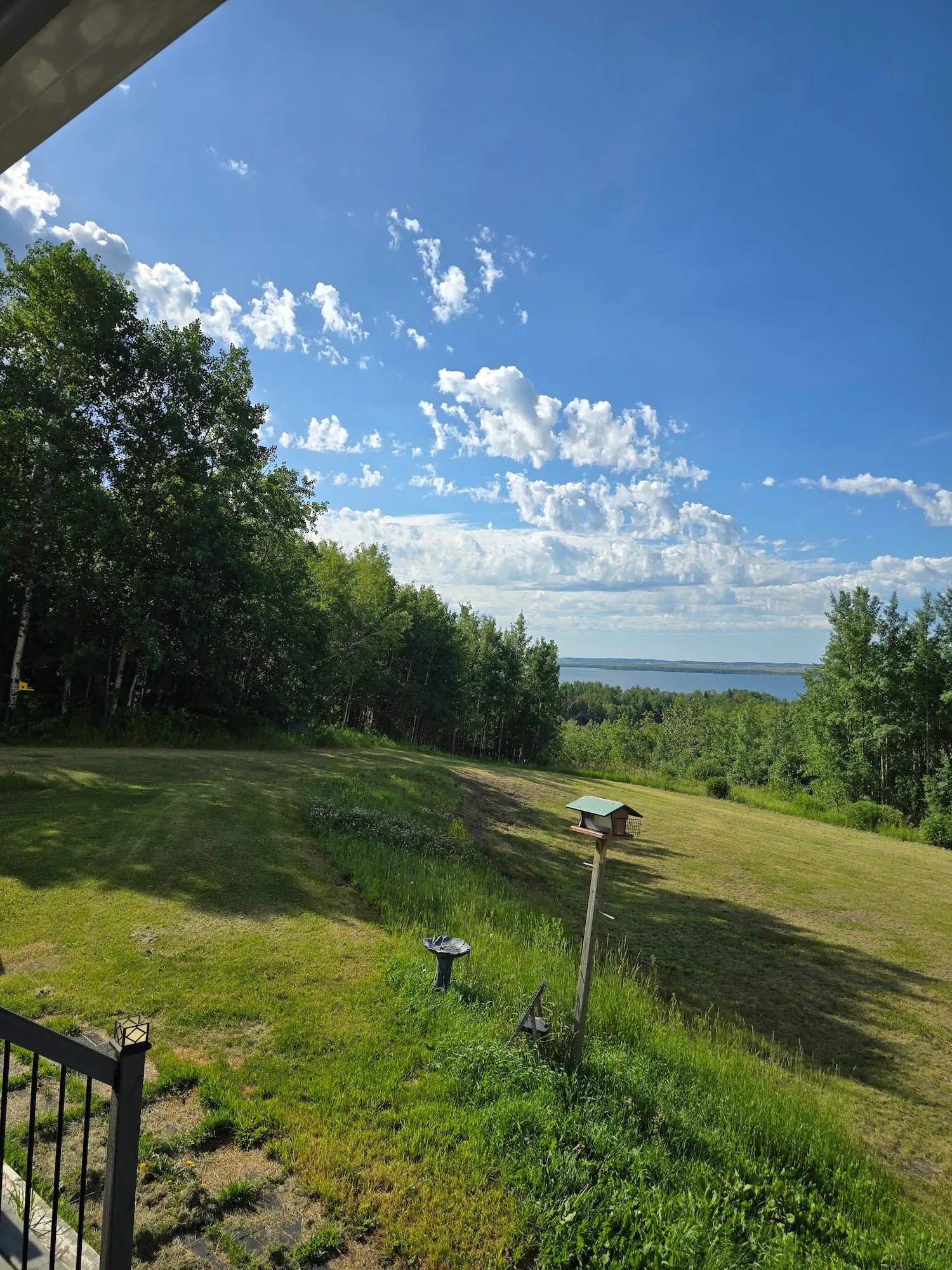 Grassy backyard with bird feeder, birdbath, trees, and a lake under a blue sky with scattered clouds.