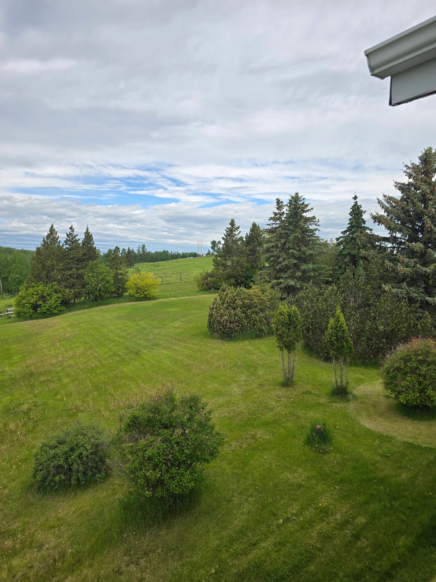 Green grassy field with scattered bushes and trees under a cloudy blue sky.